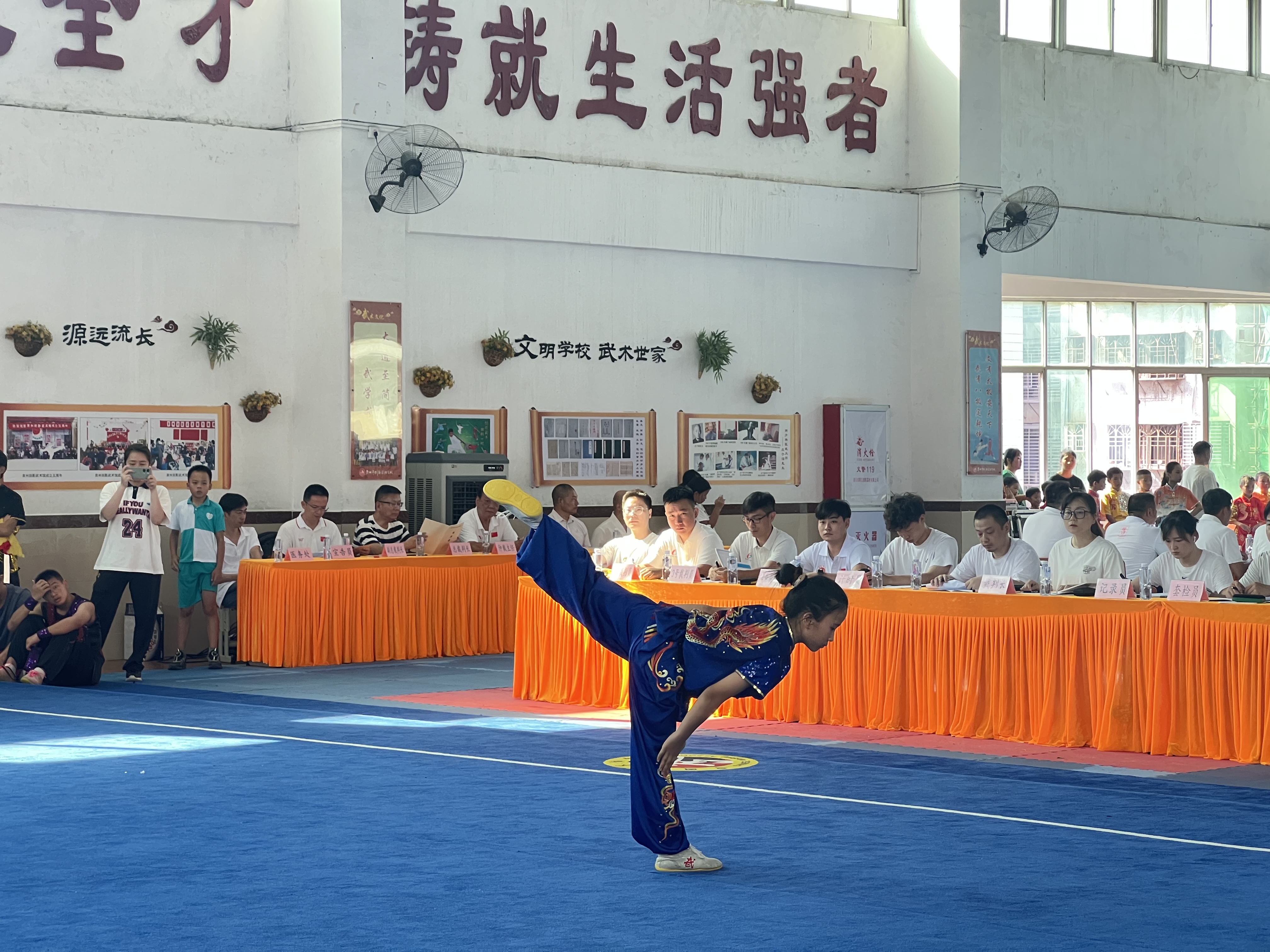 xingkong Sports (星空体育)-传统武术套路表演，文化与运动融合展演的简单介绍